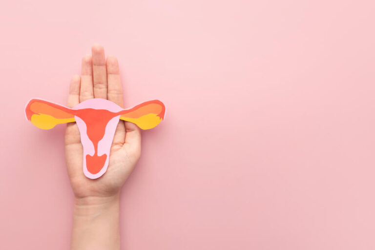 Apakah Persamaan Dan Perbedaan Vagina Dan Kloaka
