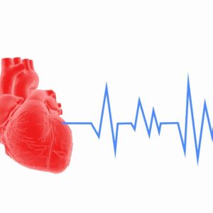 tabel detak jantung