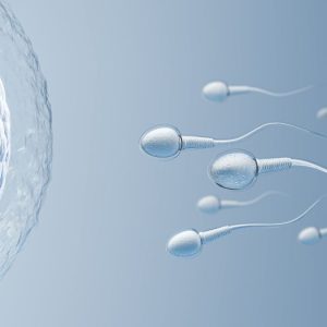 berapa lama sperma tahan di dalam tubuh wanita
