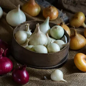 pengganti garam untuk penderita ginjal