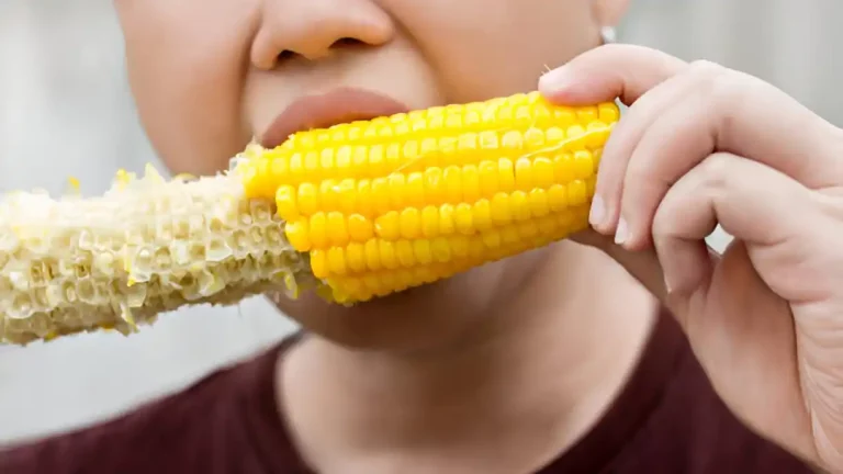 bolehkah penderita diabetes makan jagung manis rebus