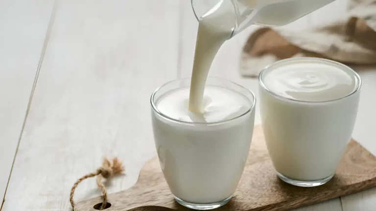minuman probiotik untuk asam lambung