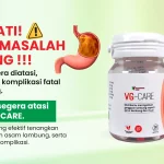 obat herbal lambung VG-CARE