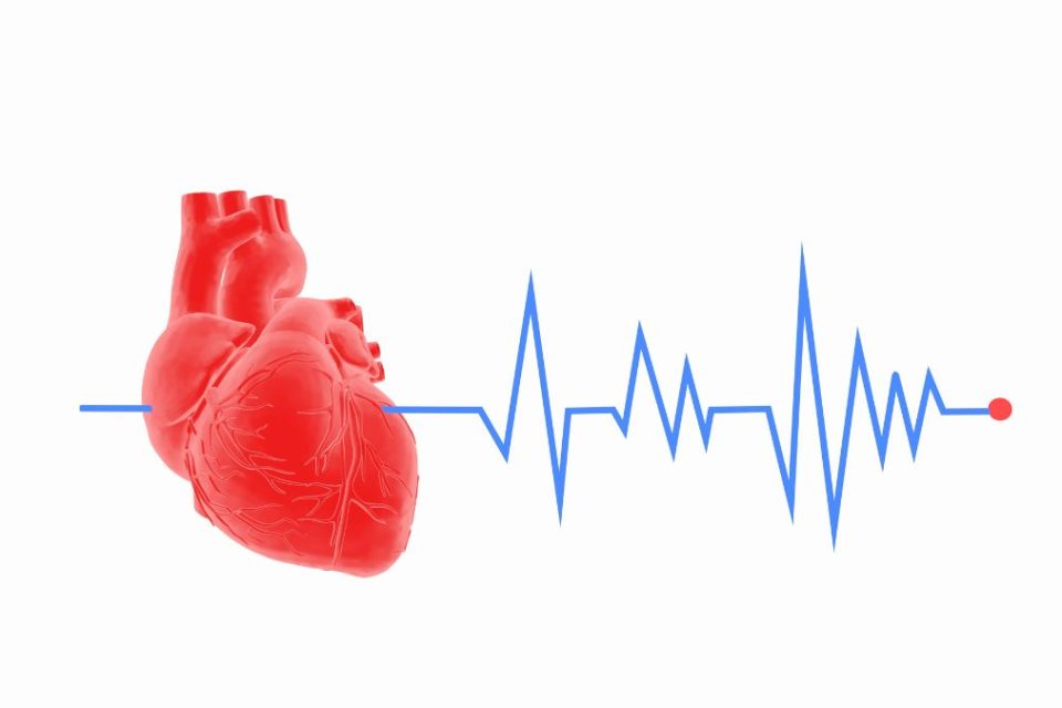 tabel detak jantung